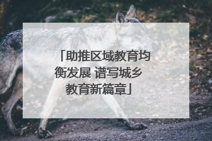 助推区域教育均衡发展 谱写城乡教育新篇章