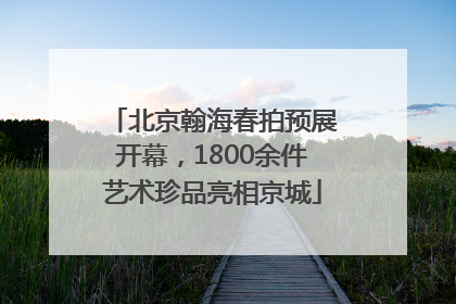 北京翰海春拍预展开幕，1800余件艺术珍品亮相京城