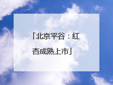 北京平谷：红杏成熟上市