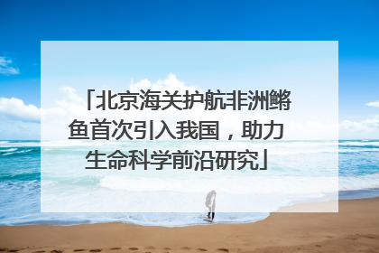 北京海关护航非洲鳉鱼首次引入我国，助力生命科学前沿研究