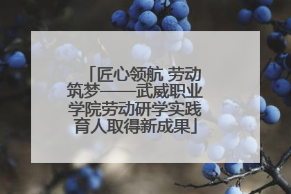 匠心领航 劳动筑梦——武威职业学院劳动研学实践育人取得新成果