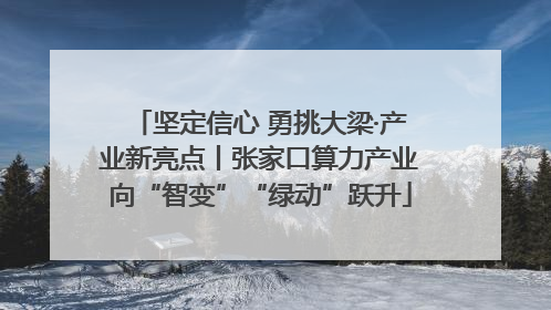 坚定信心 勇挑大梁·产业新亮点丨张家口算力产业向“智变”“绿动”跃升