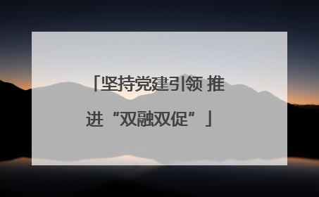 坚持党建引领 推进“双融双促”