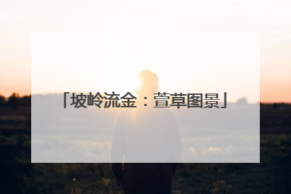 坡岭流金：萱草图景