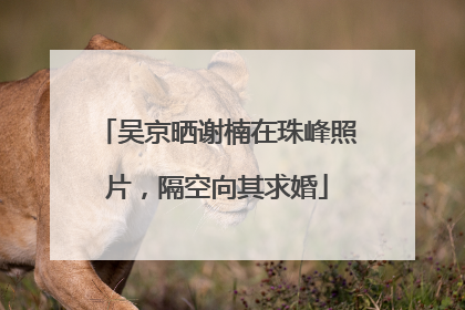 吴京晒谢楠在珠峰照片，隔空向其求婚