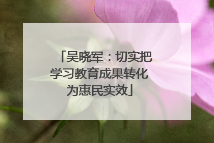 吴晓军：切实把学习教育成果转化为惠民实效
