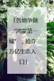 各地争做“鸿蒙第一城”，抢夺万亿生态入口