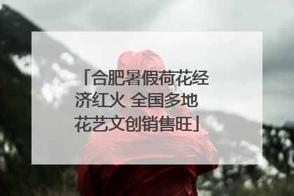 合肥暑假荷花经济红火 全国多地花艺文创销售旺