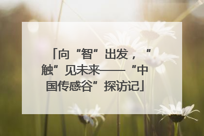 向“智”出发，“触”见未来——“中国传感谷”探访记