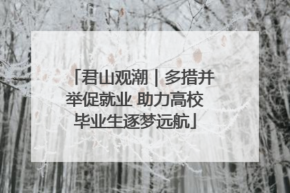 君山观潮｜多措并举促就业 助力高校毕业生逐梦远航