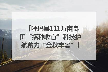 呼玛县111万亩良田“播种收官”科技护航蓄力“金秋丰景”