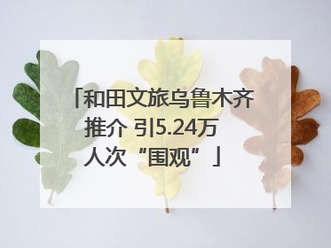 和田文旅乌鲁木齐推介 引5.24万人次“围观”