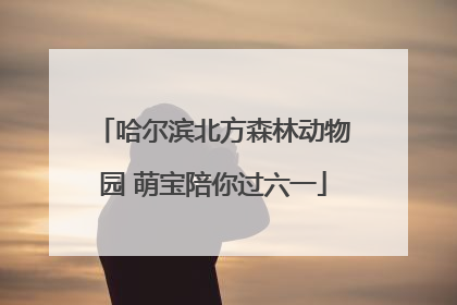 哈尔滨北方森林动物园 萌宝陪你过六一