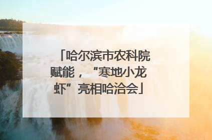 哈尔滨市农科院赋能，“寒地小龙虾”亮相哈洽会