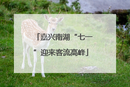 嘉兴南湖“七一”迎来客流高峰