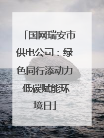 国网瑞安市供电公司：绿色同行添动力 低碳赋能环境日