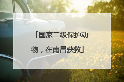 国家二级保护动物，在南昌获救