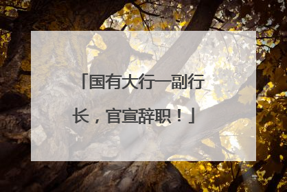 国有大行一副行长，官宣辞职！