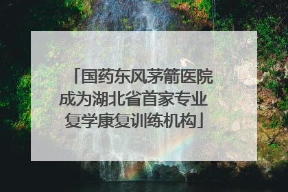 国药东风茅箭医院成为湖北省首家专业复学康复训练机构