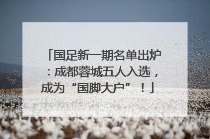国足新一期名单出炉：成都蓉城五人入选，成为“国脚大户”！