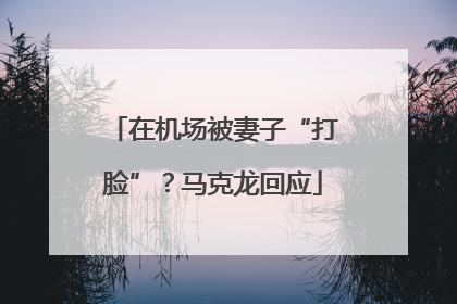 在机场被妻子“打脸”？马克龙回应
