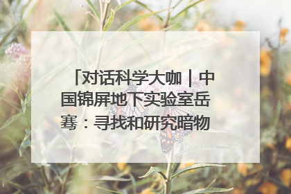 对话科学大咖｜中国锦屏地下实验室岳骞：寻找和研究暗物质，就是要去突破人类的认知边界