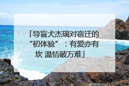 导盲犬杰瑞对宿迁的“初体验”：有爱亦有坎 温情破万难