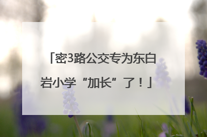 密3路公交专为东白岩小学“加长”了！