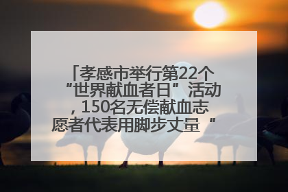 孝感市举行第22个“世界献血者日”活动，150名无偿献血志愿者代表用脚步丈量“中华孝爱第一山”