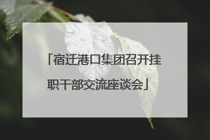 宿迁港口集团召开挂职干部交流座谈会