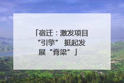 宿迁：激发项目“引擎” 挺起发展“脊梁”