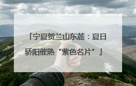 宁夏贺兰山东麓：夏日骄阳催熟“紫色名片”