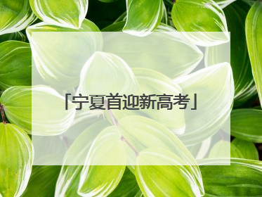 宁夏首迎新高考