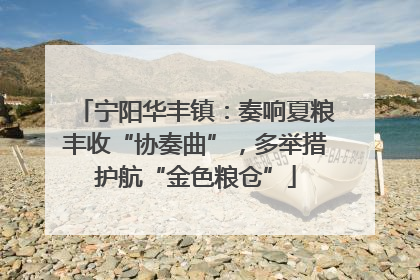 宁阳华丰镇：奏响夏粮丰收“协奏曲”，多举措护航“金色粮仓”