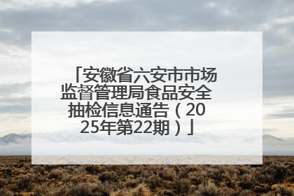 安徽省六安市市场监督管理局食品安全抽检信息通告（2025年第22期）