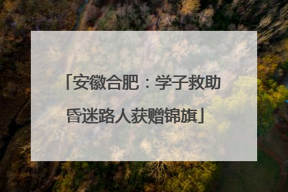 安徽合肥：学子救助昏迷路人获赠锦旗