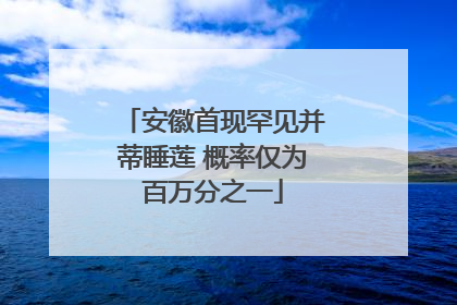 安徽首现罕见并蒂睡莲 概率仅为百万分之一