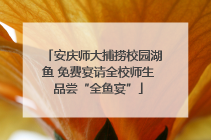安庆师大捕捞校园湖鱼 免费宴请全校师生品尝“全鱼宴”