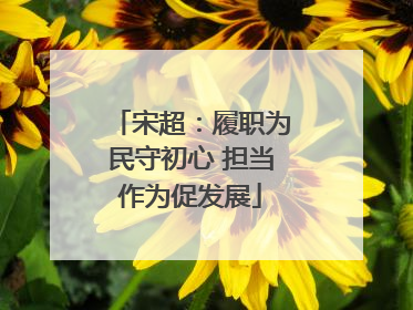 宋超：履职为民守初心 担当作为促发展