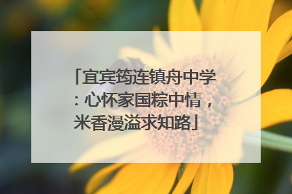 宜宾筠连镇舟中学：心怀家国粽中情，米香漫溢求知路
