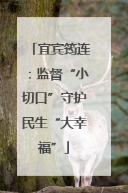 宜宾筠连：监督“小切口”守护民生“大幸福”