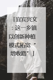 宜宾兴文：这一乡镇以创新种植模式拓宽“增收路”