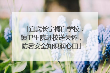 宜宾长宁梅白学校：镇卫生院进校送关怀，防暑安全知识润心田