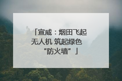 宣威：烟田飞起无人机 筑起绿色“防火墙”