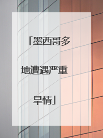 墨西哥多地遭遇严重旱情