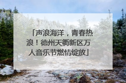 声浪海洋，青春热浪！德州天衢新区万人音乐节燃情绽放