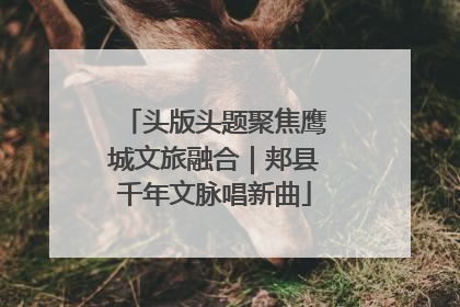 头版头题聚焦鹰城文旅融合｜郏县千年文脉唱新曲