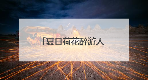 夏日荷花醉游人 石家庄正定隆兴别苑打造古城生态名片