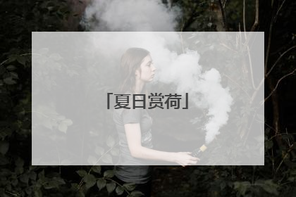 夏日赏荷