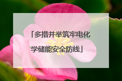 多措并举筑牢电化学储能安全防线